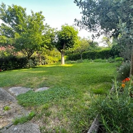 L'Oustal De L'Olivier Villa Rignac  Dış mekan fotoğraf